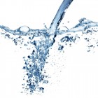 water_not_urine