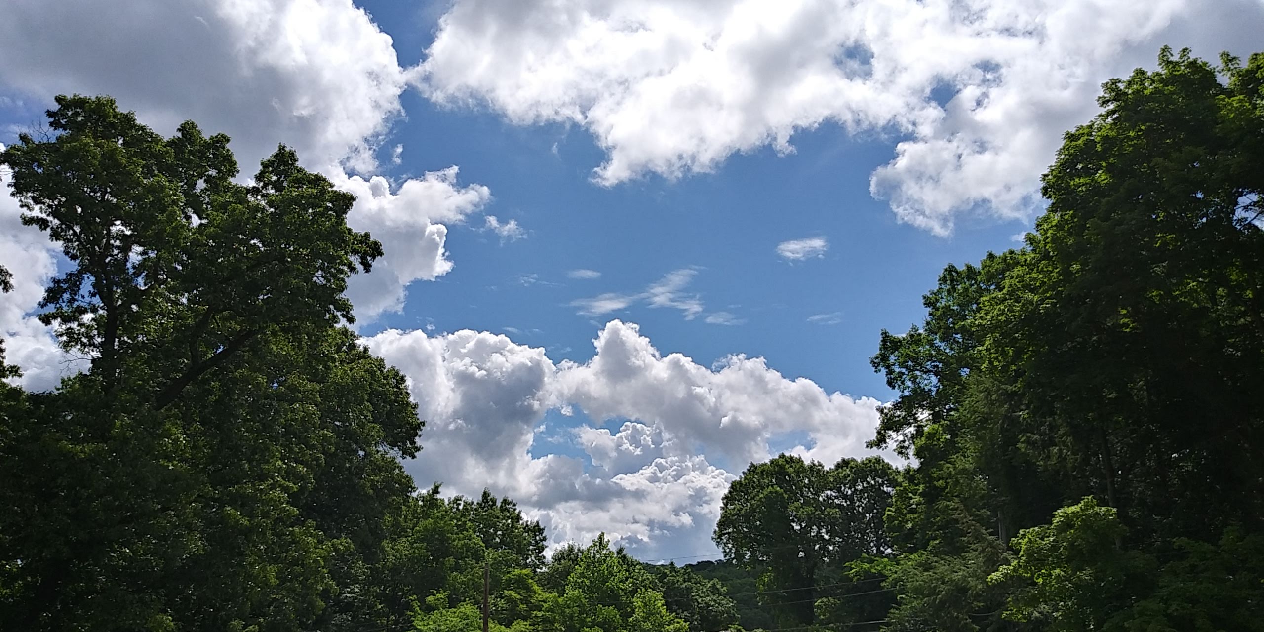 [Image: backyard-clouds.jpg]